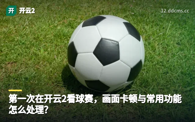 第一次在开云2看球赛，画面卡顿与常用功能怎么处理？